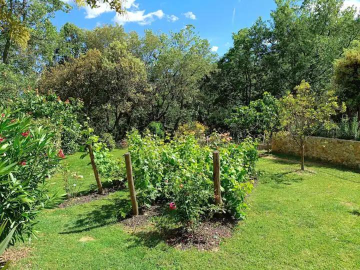 L'Autre Perle, Balneo En Supplement, Le Clos Des Perles Tourtour Exterior foto